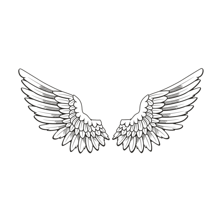 a pair of wings on white background