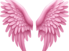 a pair of pink wings