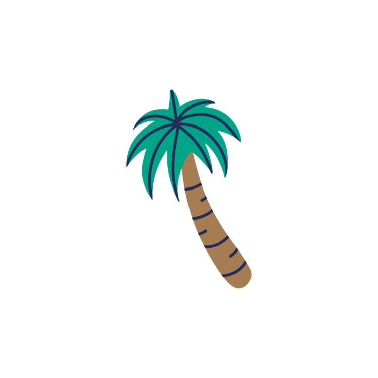 a palm tree on a white background