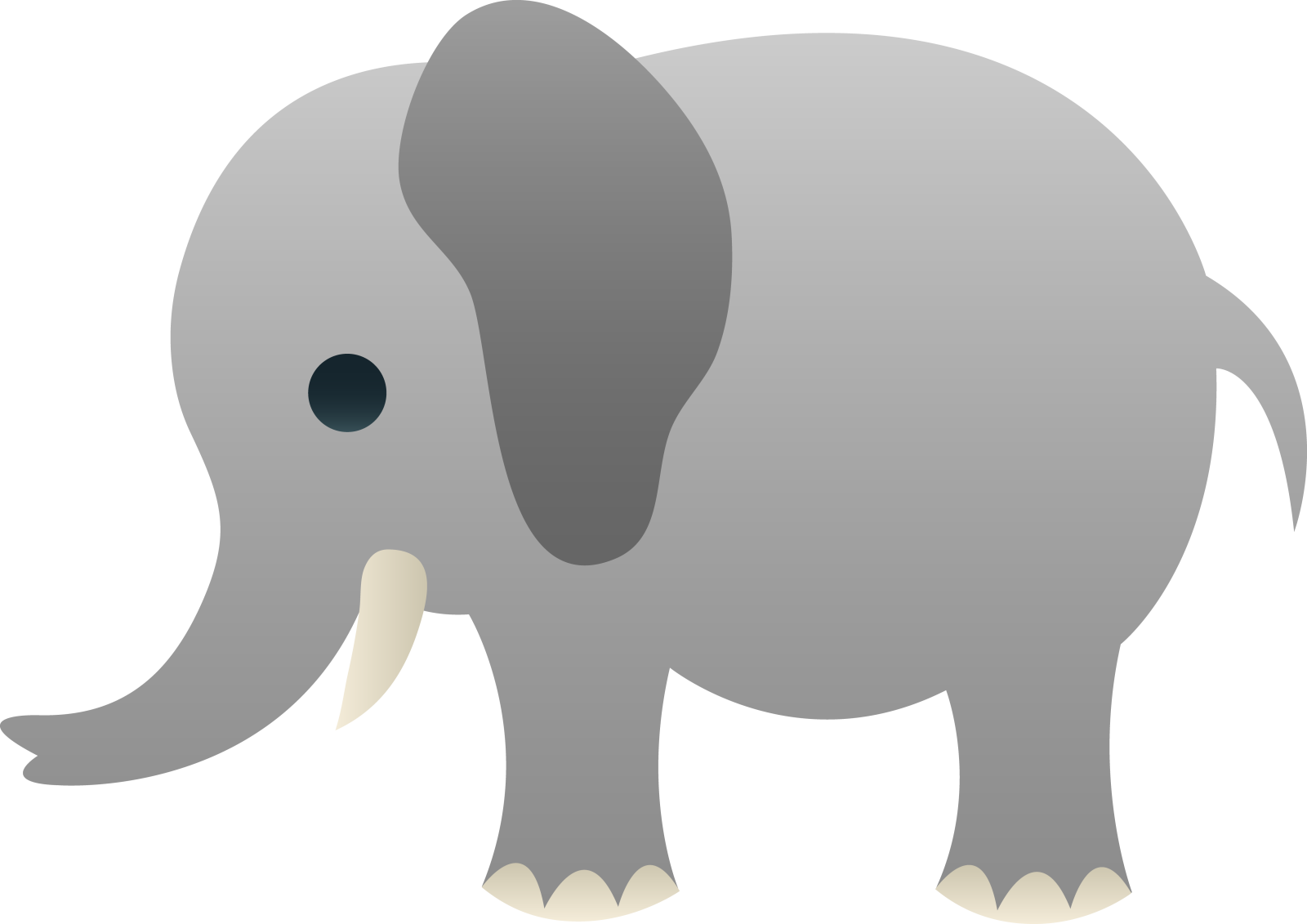 an elephant with a white background