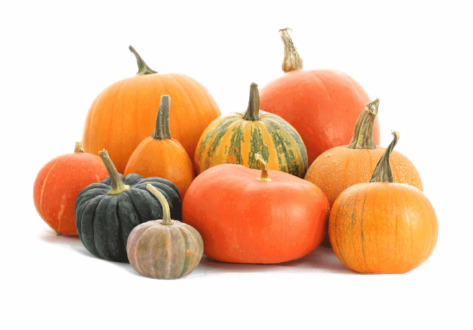 a pile of pumpkins on a white background
