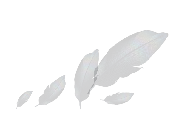 three white feathers on a white background