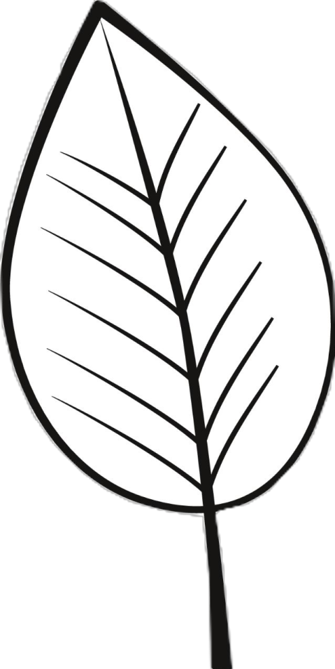 a black and white drawing of a leaf