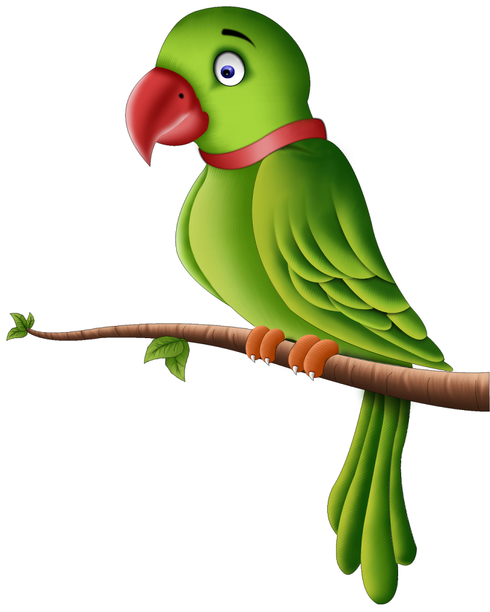 a green parrot sitting on a branch