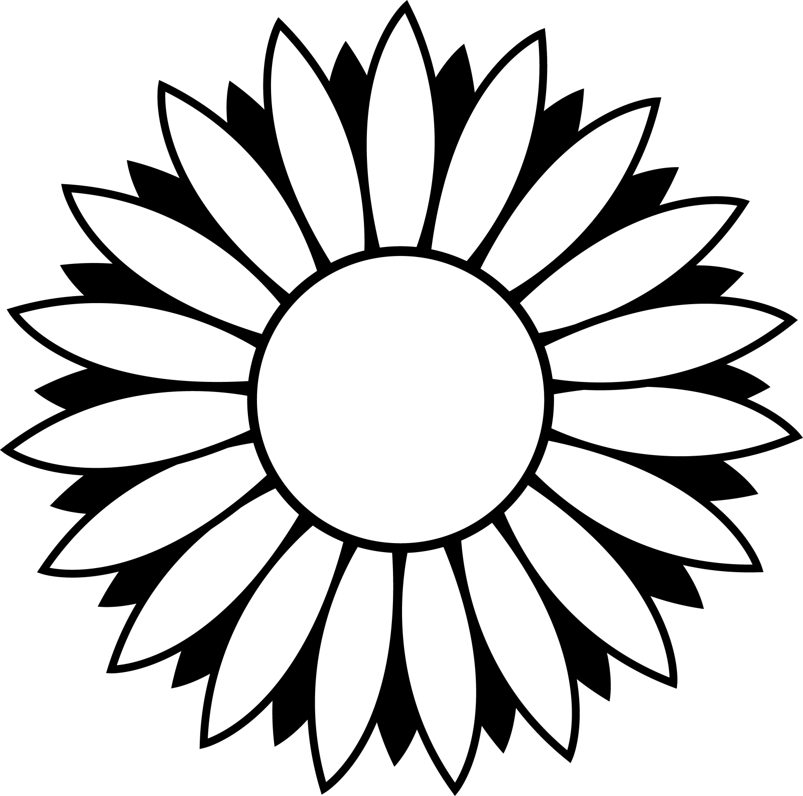 a black and white flower
