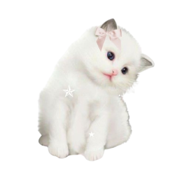 a white kitten with blue eyes sitting on the ground
