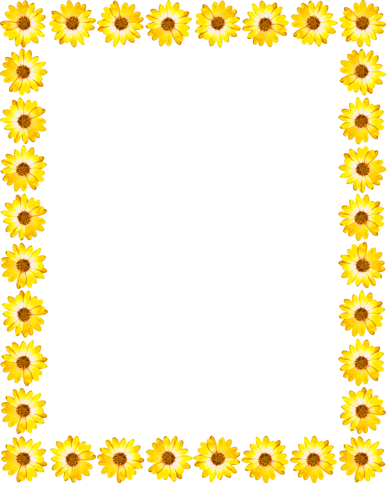 a sunflower border with a white background