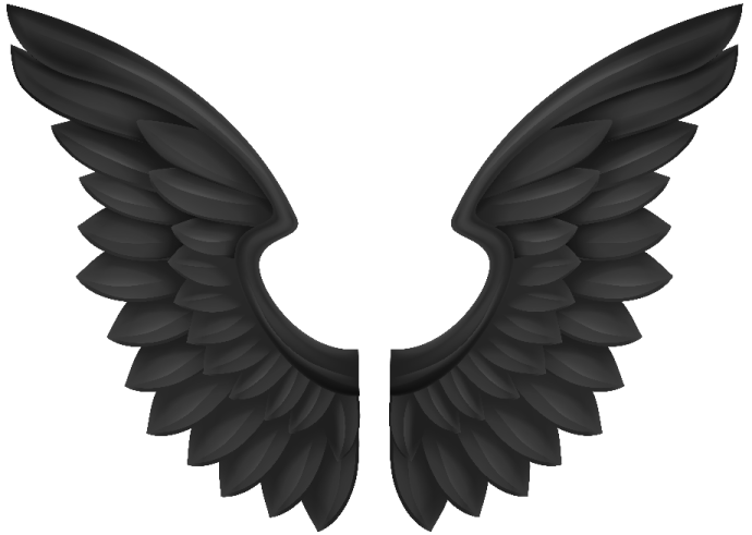a pair of black wings