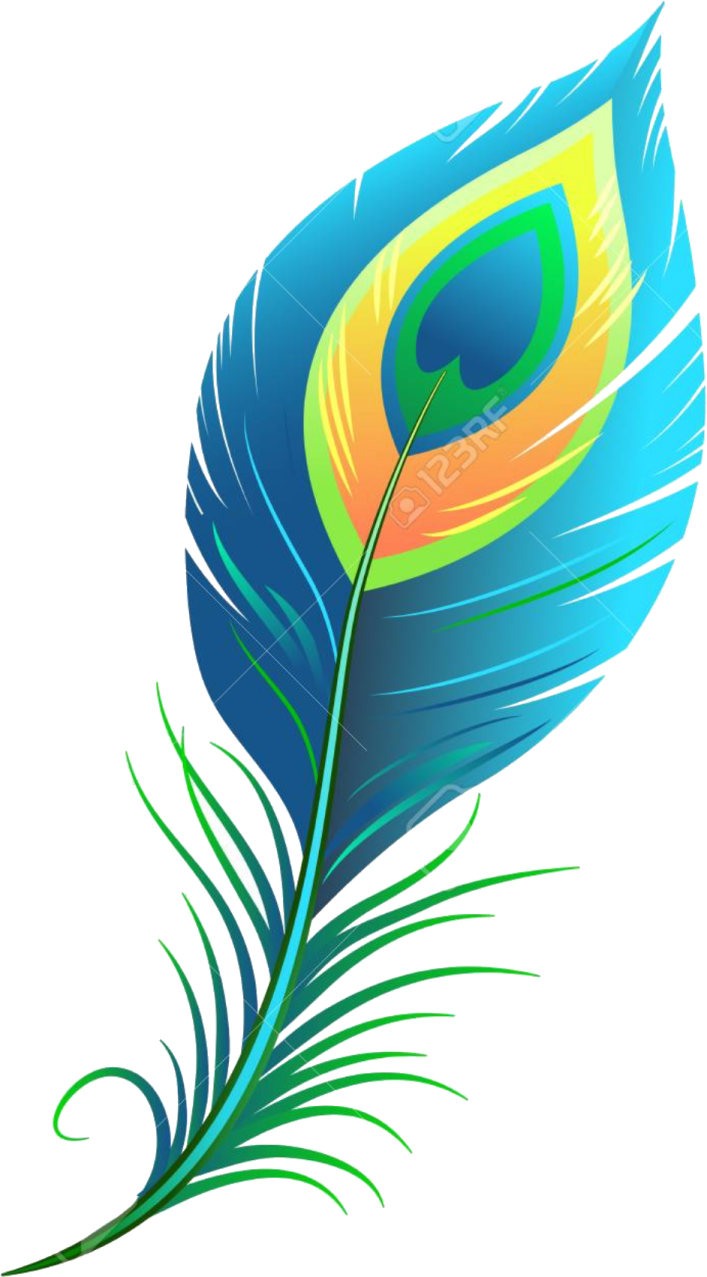 a blue and green feather on a white background
