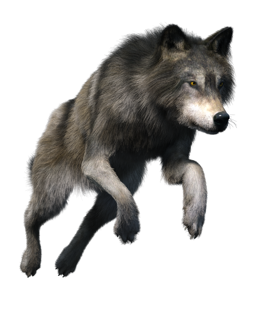 a 3d rendering of a wolf