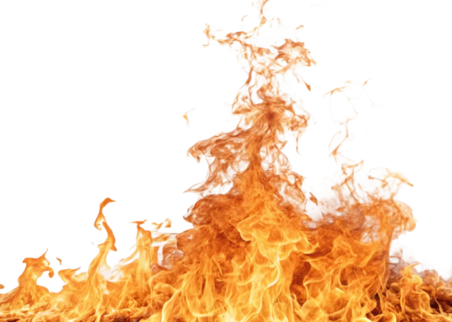 fire on a white background