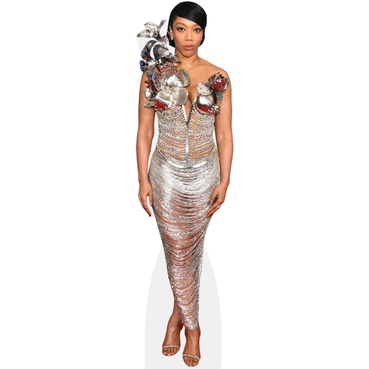an image of a woman wearing a silver dress