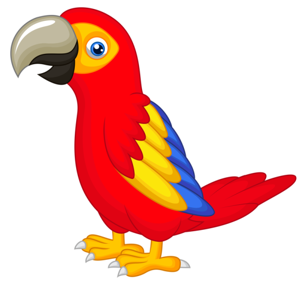 a red parrot with yellow and blue feathers