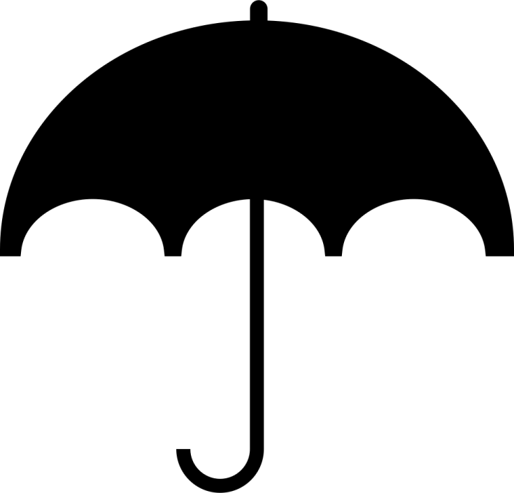 a black and white image of an umbrella
