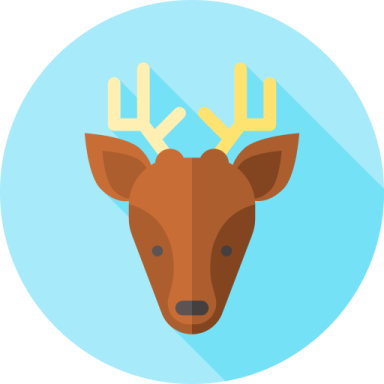 a deer's head with long horns