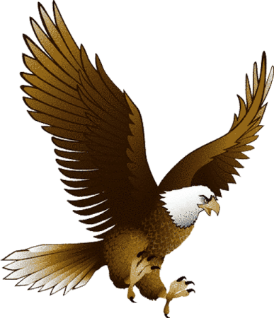 an eagle flying with its wings spread out