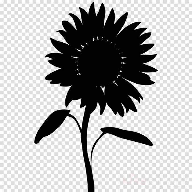 a black and white silhouette of a flower