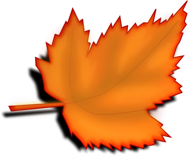 an orange leaf on a white background