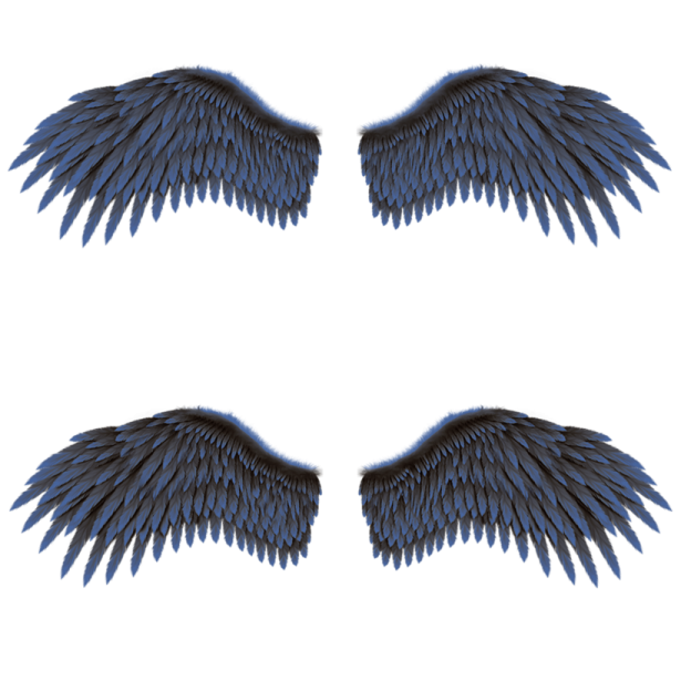 three blue wings on a white background