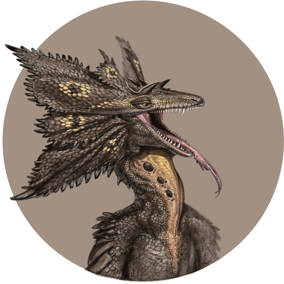 a drawing of a bird with its mouth open