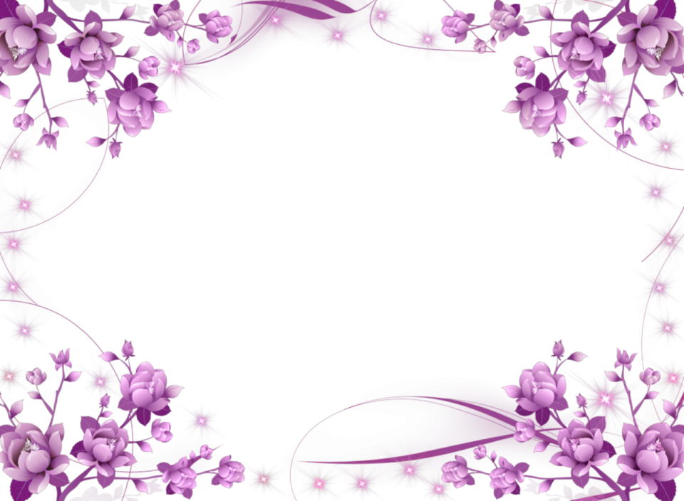 purple flowers on a white background