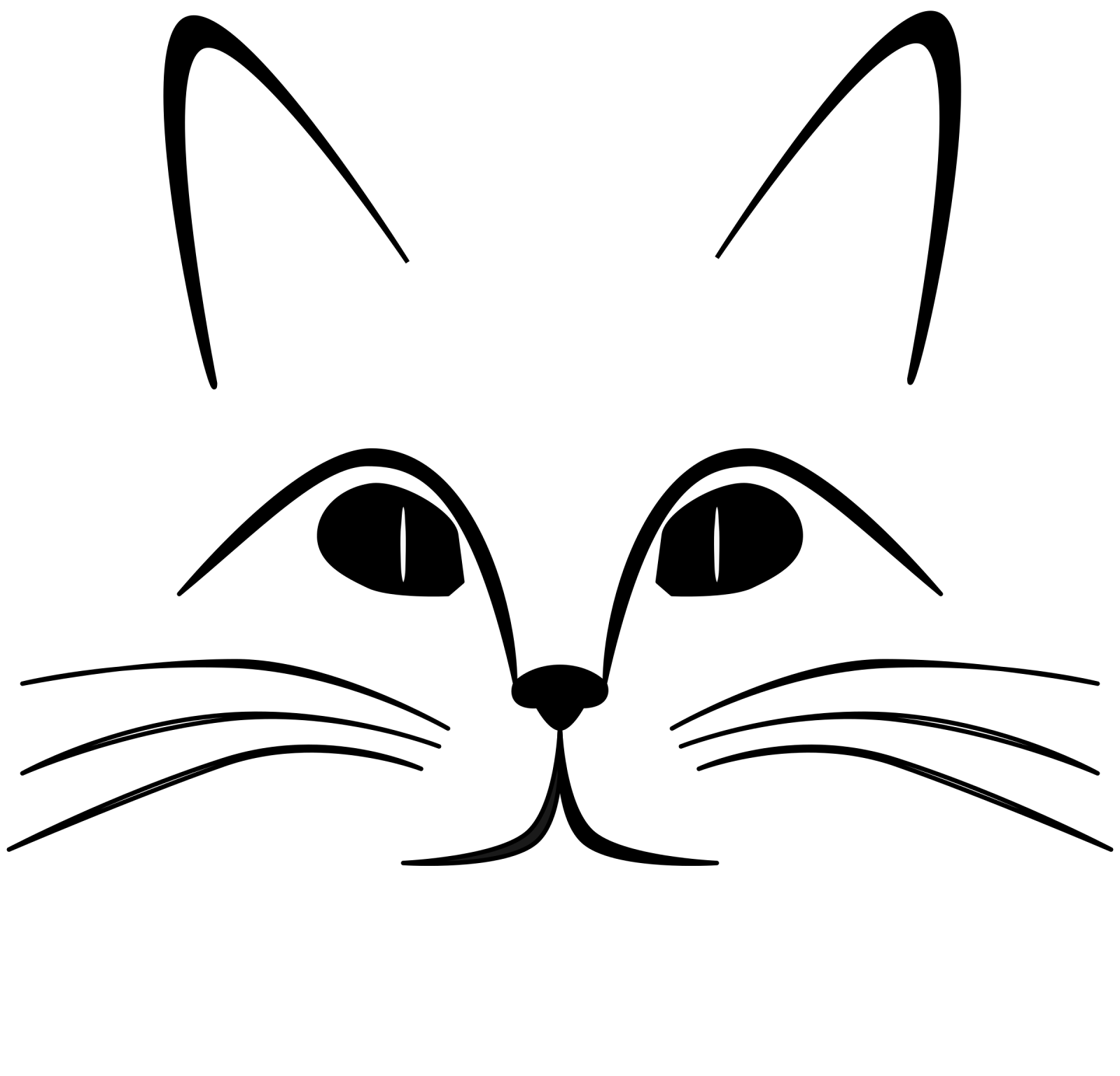 a black and white cat's face