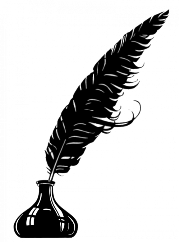 a black and white image of a feather quil