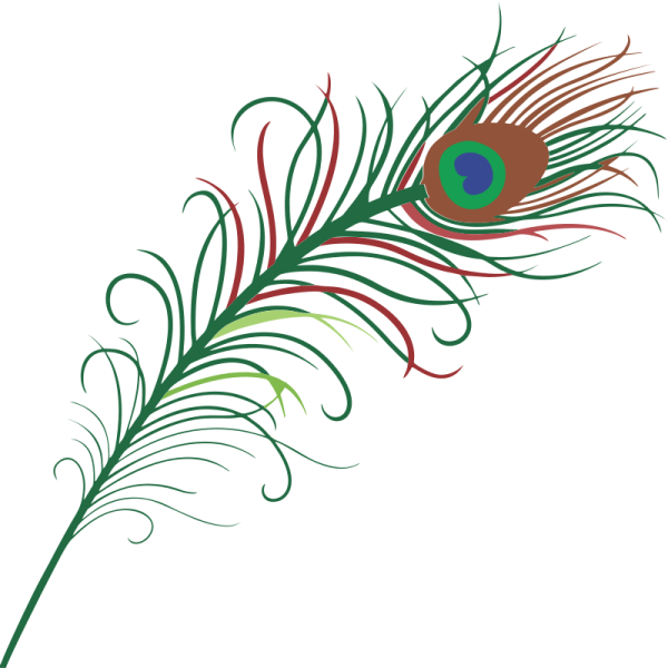 a green and red peacock feather on a white background