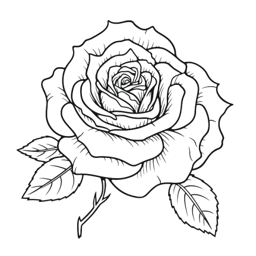 a rose tattoo design