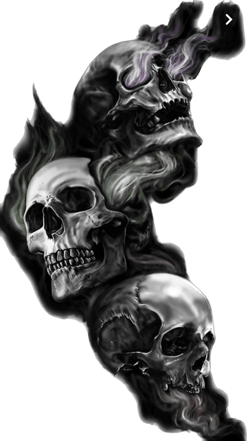 two skulls on a white background