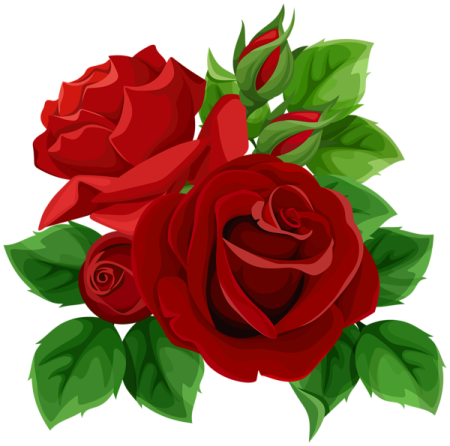 a bunch of red roses with green leaves