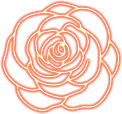 a white rose with yellow highlights on it