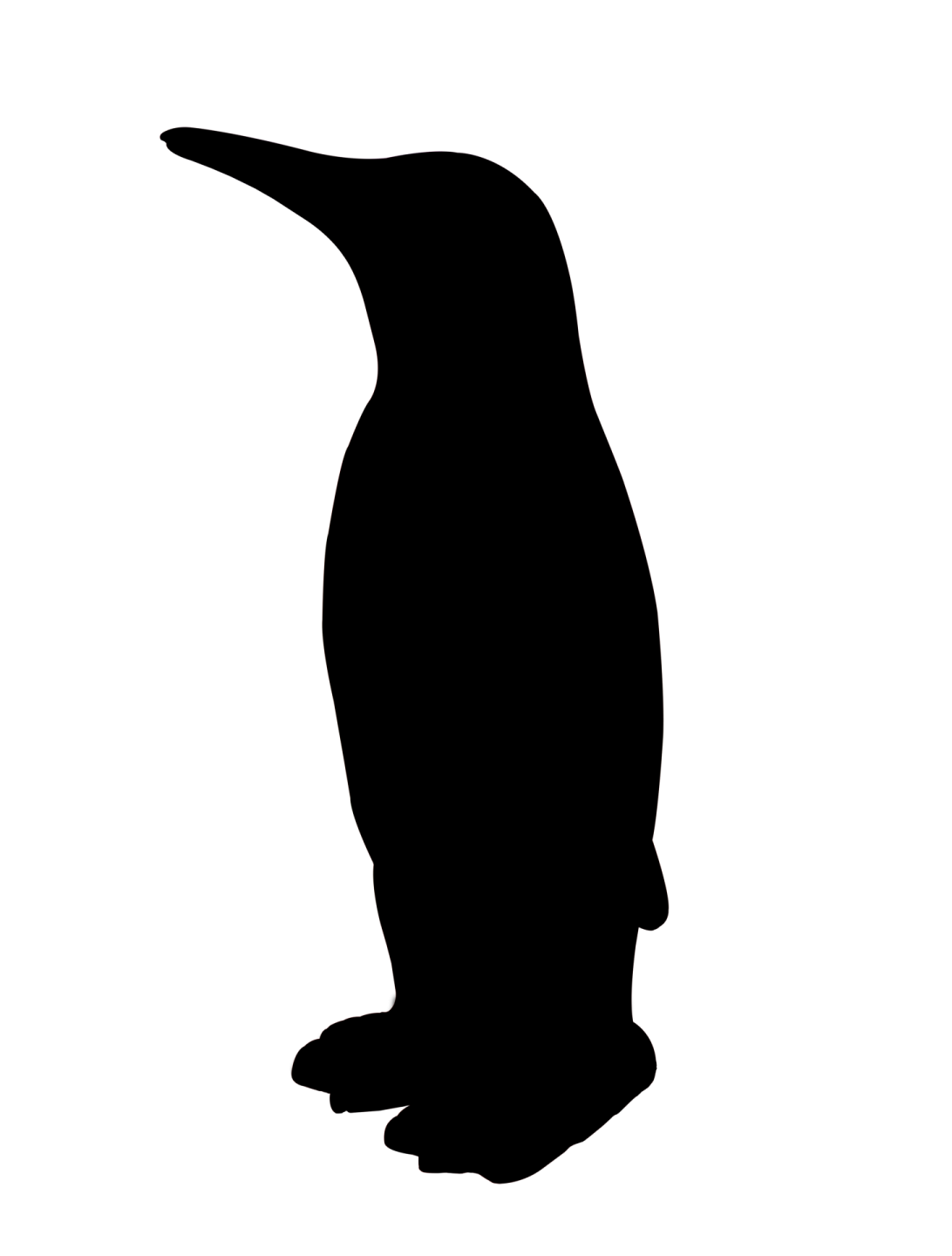 a penguin silhouetted on a white background
