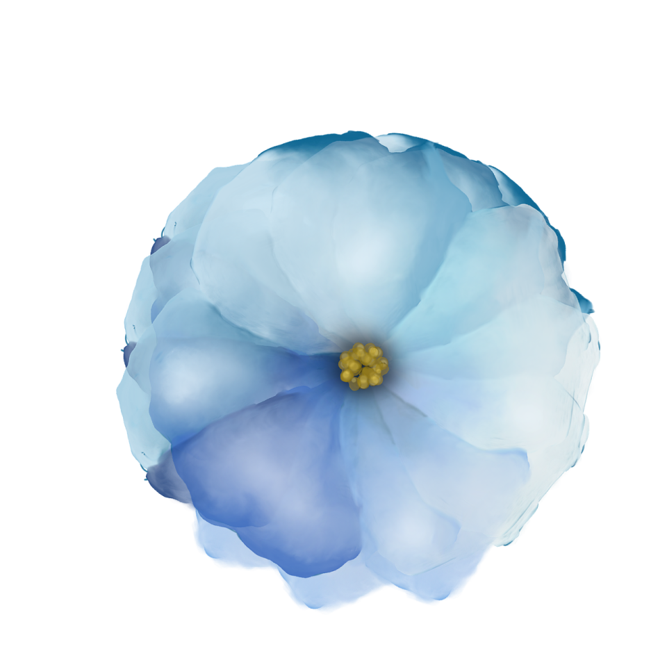 a blue flower on a white background