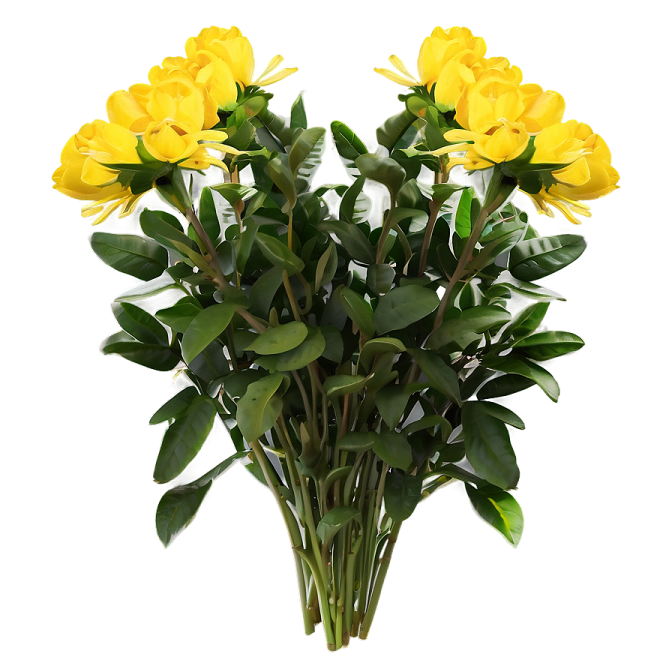 a bouquet of yellow flowers on a white background