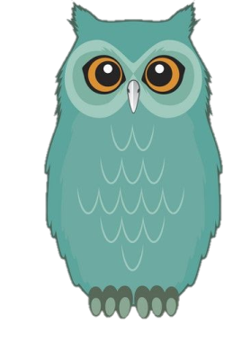 an owl with big eyes