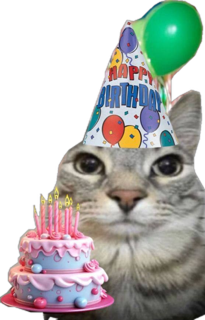 a cat wearing a birthday hat and holding a cake