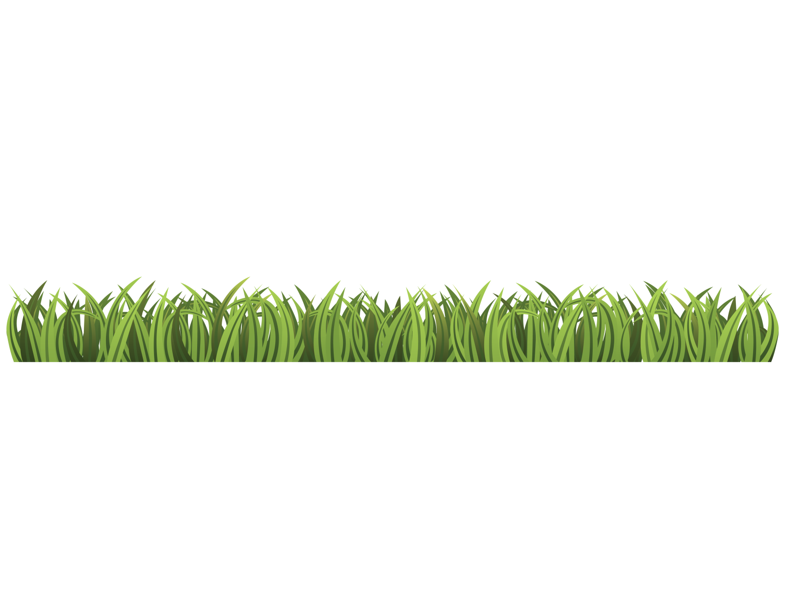a green grass border on a white background