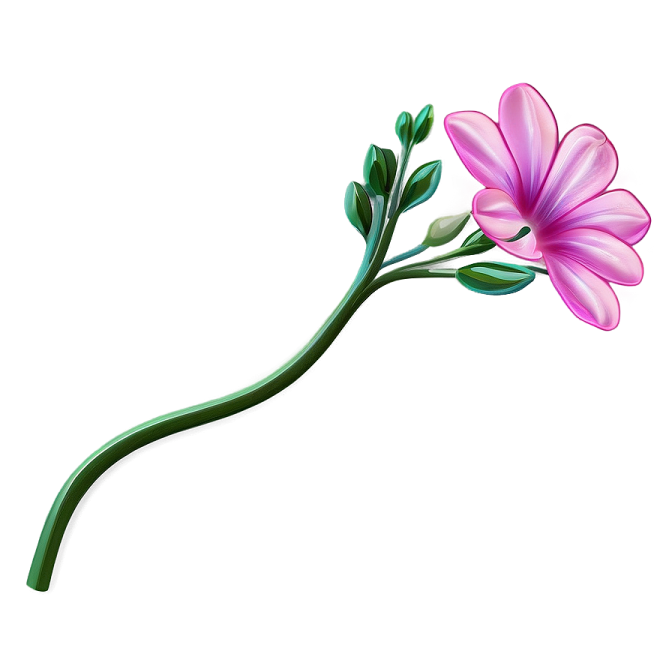 a pink flower on a white background