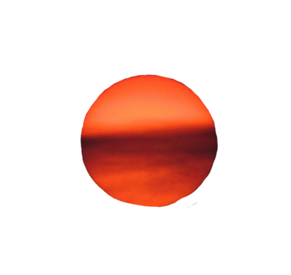 an orange circle on a white background