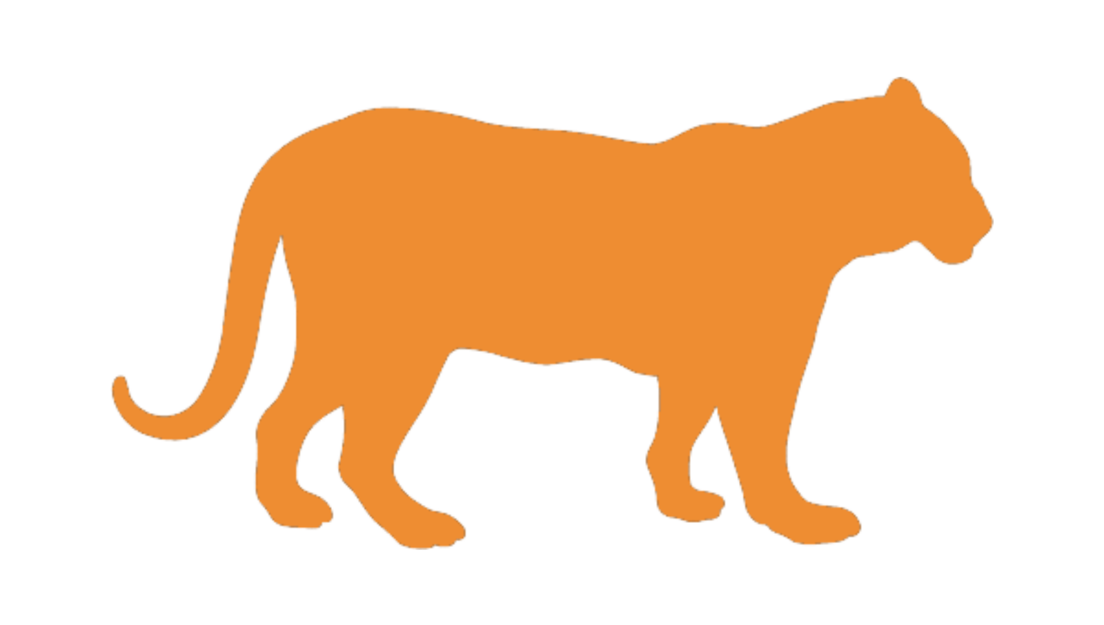 an orange silhouette of a cat