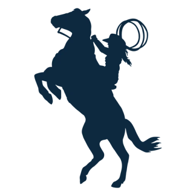 a silhouette of a cowboy riding a horse