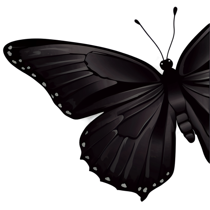 a black butterfly on a white background