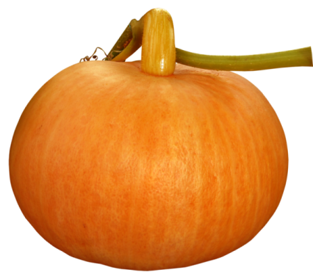 a close up view of an orange pumpkin