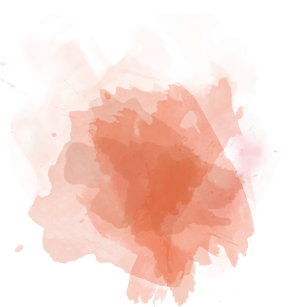an orange flower on a white background