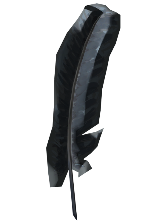 a black feather on a white background