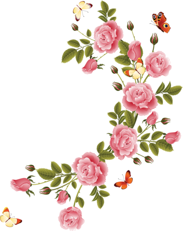 pink roses and butterflies on white background