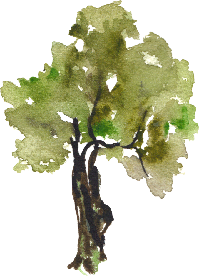 a watercolor painting of a tree