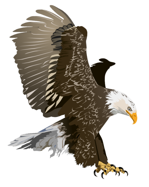 an eagle flying with its wings spread out