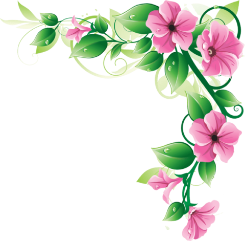a pink flower border with green leaves